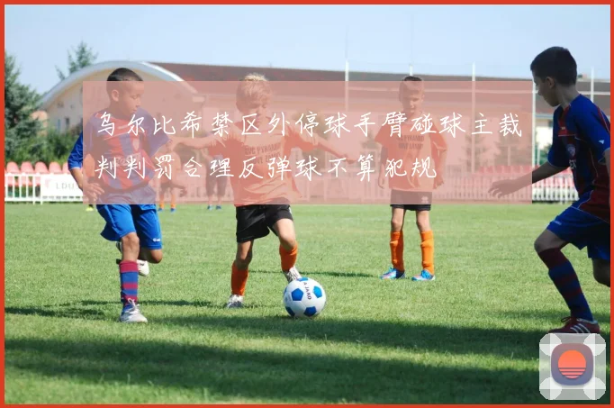 乌尔比希禁区外停球手臂碰球主裁判判罚合理反弹球不算犯规