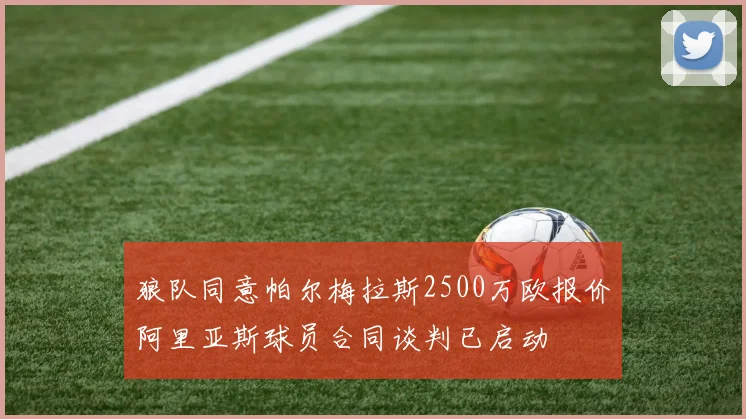 狼队同意帕尔梅拉斯2500万欧报价阿里亚斯球员合同谈判已启动